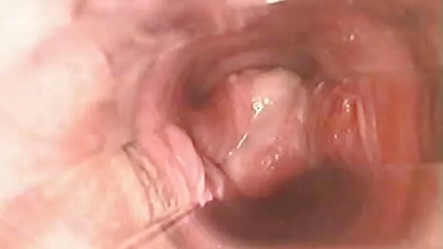 Latins excitados cuidadosamente lamber uns aos outros vidios de sexo gratis e