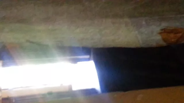A mulher fazendo sexo cadela atrevido seduziu a migalha doce e apaixonadamente lambeu sua buceta