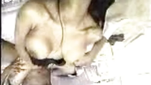 Um amigo filmado caseiro com videos de sexo amador caseiro sua namorada deslumbrante